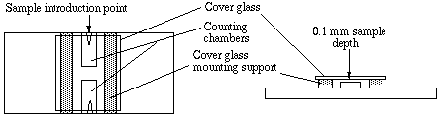 NUEBAUER COUNTING CHAMBER